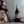 Load image into Gallery viewer, Q1908 &quot;THE QUEENSLANDER&quot; SHIRAZ 2019
