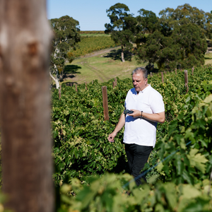 The Kings' Creed Fleurieu Peninsula Rose 2023